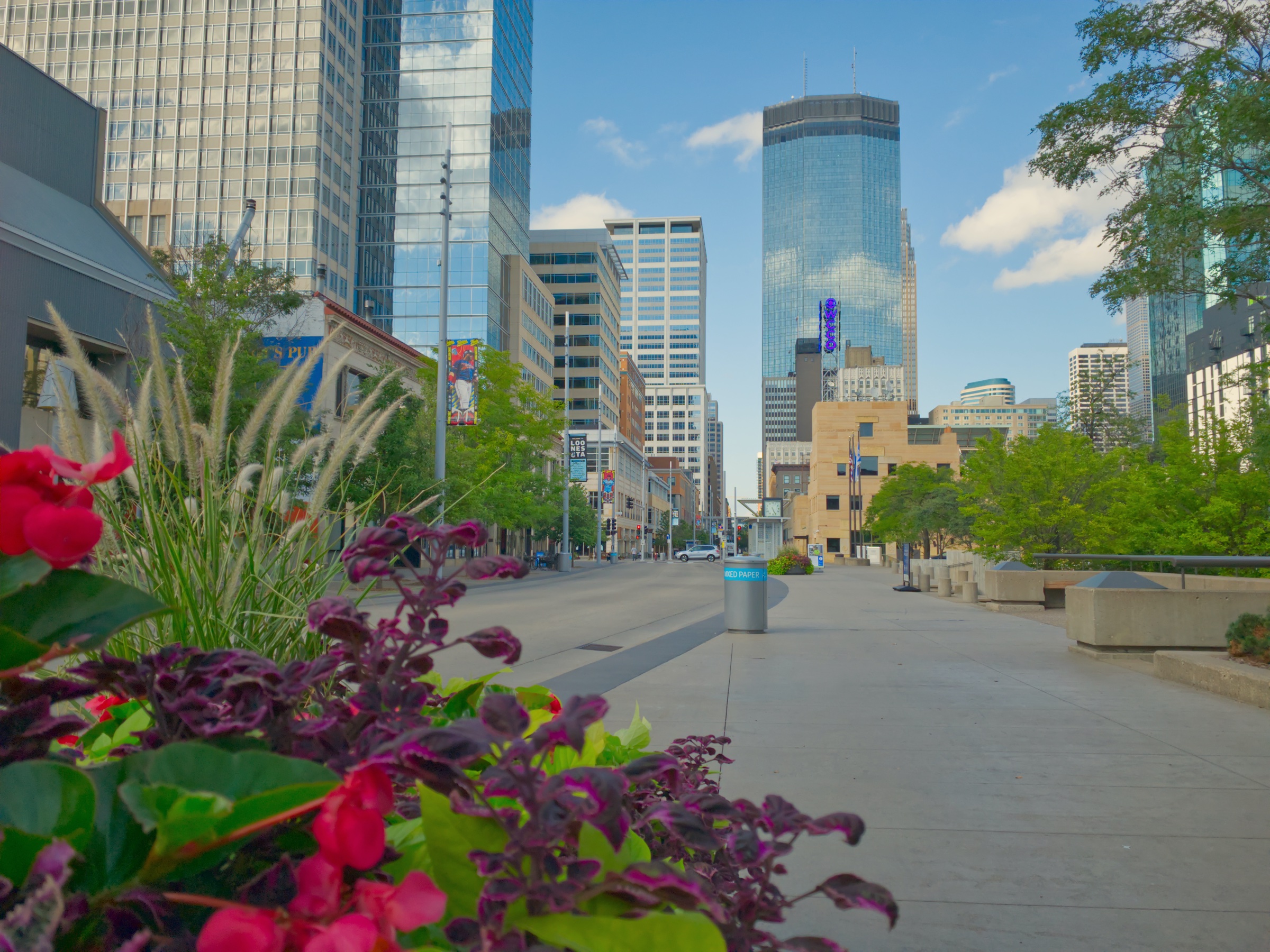 Loring Park Neighborhoods Element Commercial Real Estate